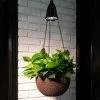 Glitzhome 10.25 in. D Solar Lighted Hanging Plastic Basket/Planter -Design Toscano Sales Store brown glitzhome hanging planters gh1407203566 64 1000