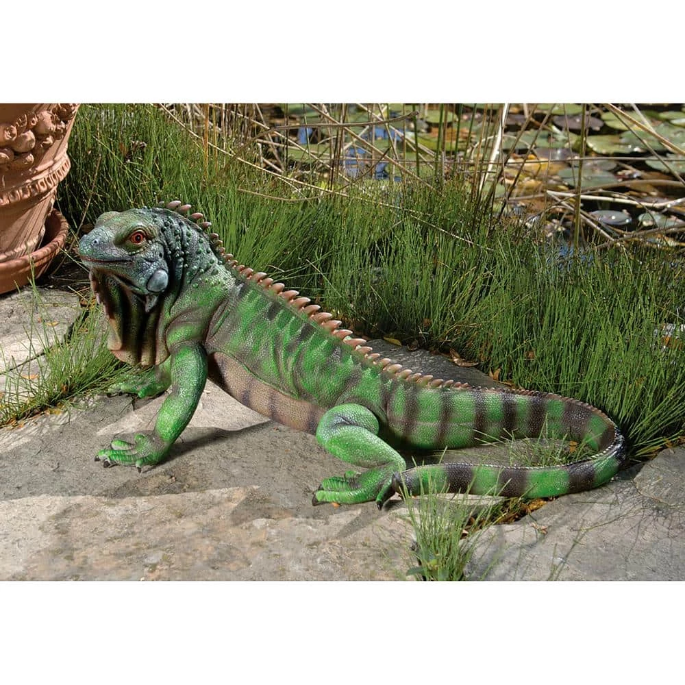 Design Toscano 9.5 in. H Iggy the Iguana Statue 5 Design Toscano 9.5 in. H Iggy the Iguana Statue - Image 3