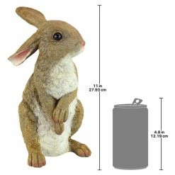 Design Toscano 11.5 in. H Hopper the Bunny Standing Garden Rabbit Statue 17 Design Toscano 11.5 in. H Hopper the Bunny Standing Garden Rabbit Statue -Design Toscano Sales Store design toscano garden statues qm200681 76 1000