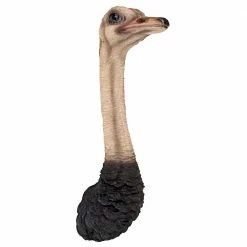 Design Toscano 28 in. H Ostrich Bird Trophy Wall Sculpture