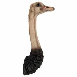 Design Toscano 28 in. H Ostrich Bird Trophy Wall Sculpture -Design Toscano Sales Store design toscano outdoor wall sculptures jq10508 fa 1000 1
