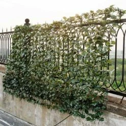 Costway 59 in. L x 94.5 in. W x 6 in. H Plastic Faux Ivy Leaf Garden Decorative Fence -Design Toscano Sales Store green costway garden fencing ghm0270 31 1000