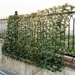 Costway 59 in. L x 94.5 in. W x 6 in. H Plastic Faux Ivy Leaf Garden Decorative Fence -Design Toscano Sales Store green costway garden fencing ghm0270 44 1000